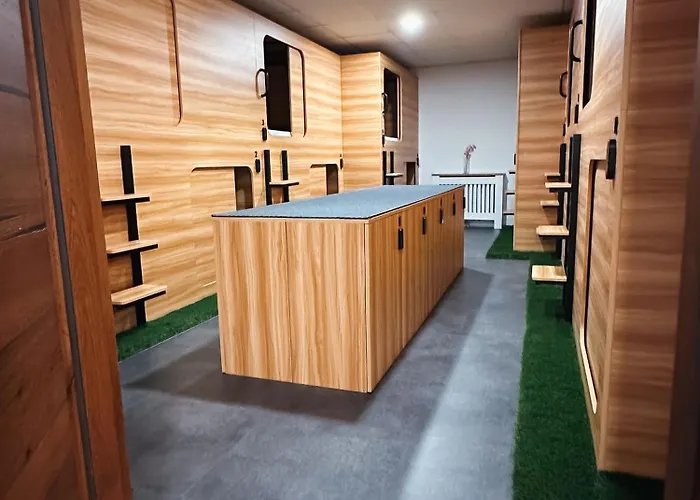 Auberge de jeunesse Lesce-bled *